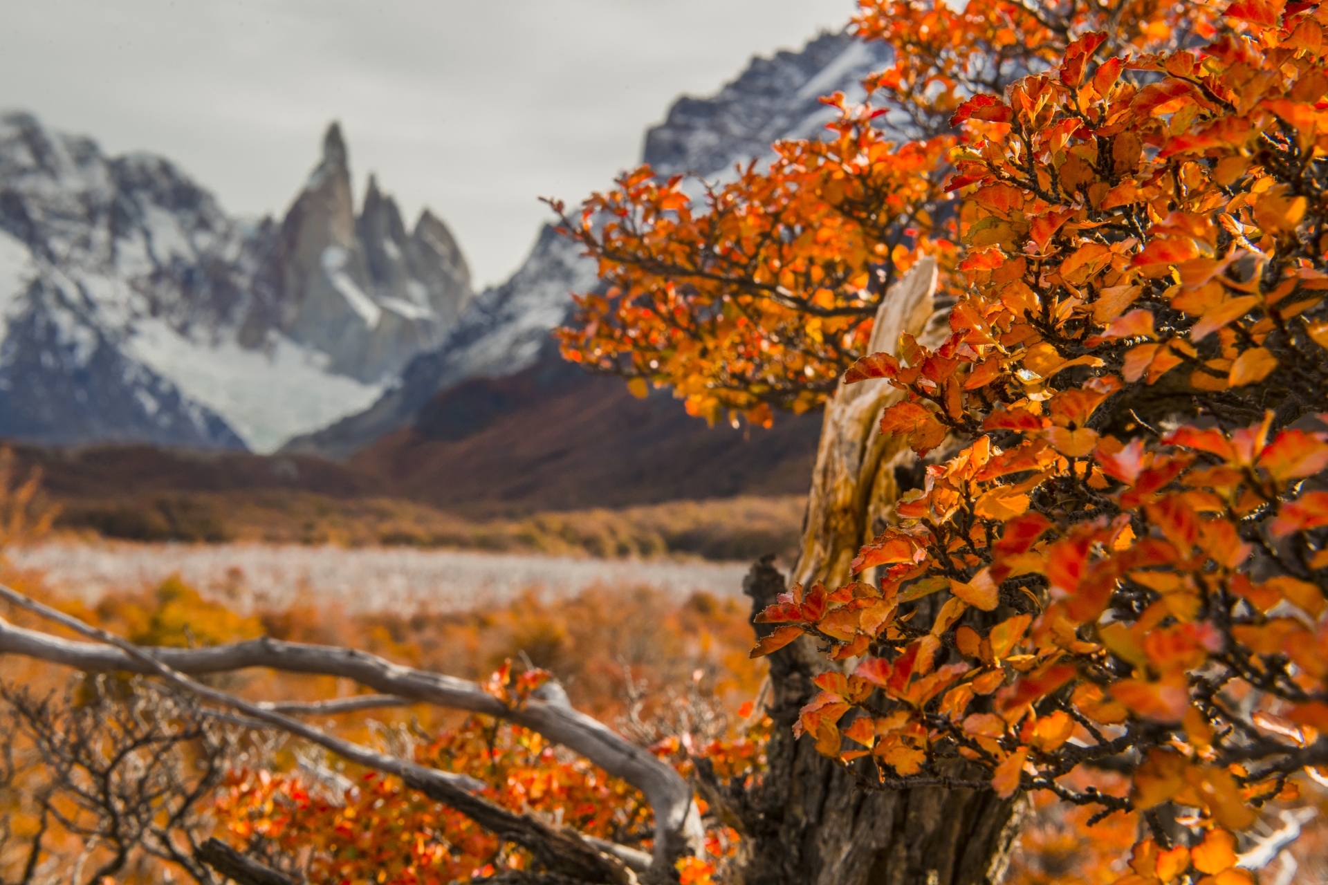 Laguna Torre